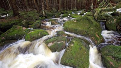 Wildes Deutschland: Der Harz – Felsenreich und Wasserwelten (2)