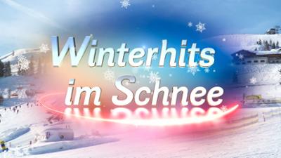 Winterhits im Schnee