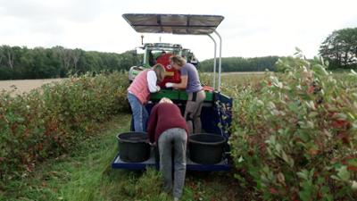 Auf'm Trecker: Zwischen Acker, Aronia und Aufbruch