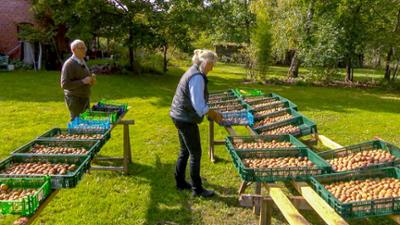 die nordreportage: Die Walnuss-Knacker - Superfood aus Mecklenburg