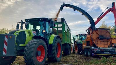 die nordreportage: Knapp, knapper, Brennholz