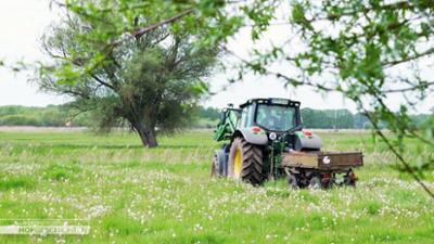 die nordreportage: Auf Rattenjagd im Hühnerstall