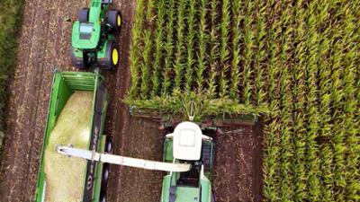 die nordreportage: Maisernte mit imposanten Maschinen