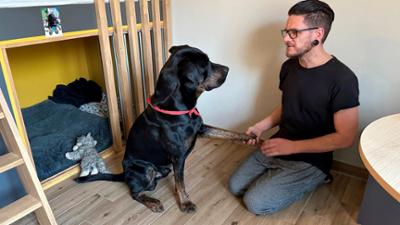 die nordreportage: Tierische Helfer - Mit Hunden in der Suchtklinik