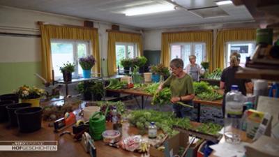 die nordreportage: Hochsaison bei den Schnittblumen