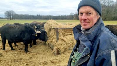 die nordreportage: Die Rinder-Rancher