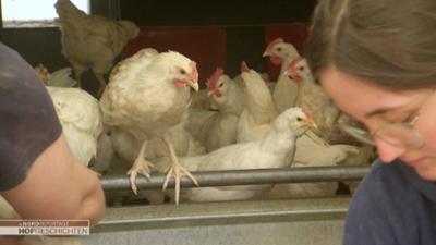 die nordreportage: Die Panzerknacker