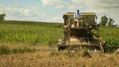 die nordreportage: Folge 2: Hitzeschlacht bei Bauer Kruse