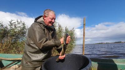 die nordreportage: Zwischen Reusen und Reet - Ostfrieslands letzter Binnenfischer