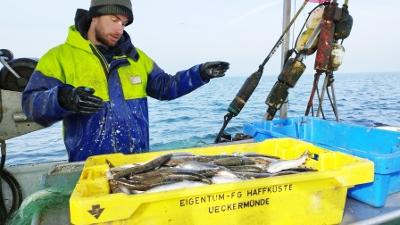 Die Nordreportage: Zwischen Ostsee und Haff - Vom Überlebenskampf der letzten Fischer