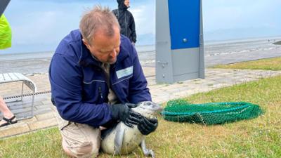 die nordreportage: Zwischen Herd und Heulern