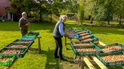 Die Nordreportage: Die Walnuss-Knacker