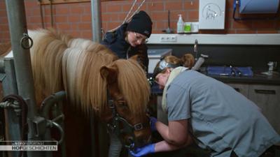 die nordreportage: Ein Isländer beim Zahnarzt