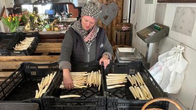 die nordreportage: Zwischen Spargel und Startbahn