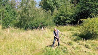 die nordreportage: Mit Pferd und Sense - Ackern für den Artenschutz