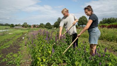 die nordreportage: Solidarische Landwirtschaft - Gemeinsam ackern, gemeinsam ernten