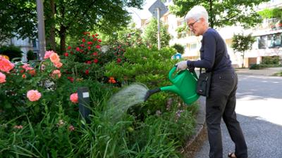 die nordreportage: Blumen gegen Müll und Hundekot