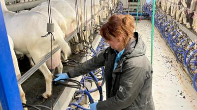 die nordreportage: Tierisch andere Milch