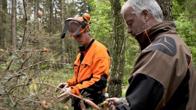 die nordreportage: Die Waldretter die nordreportage: Die Waldretter