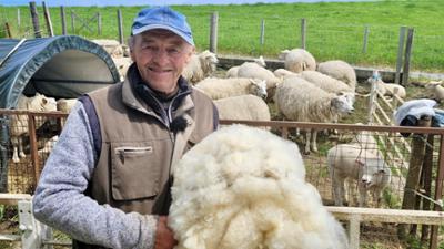 die nordreportage: Lammzeit, Schafschur, Reitabzeichen - Frühling bei Albert Smidt