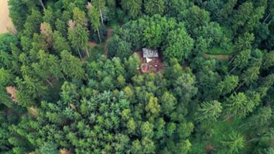 die nordstory: Sind im Wald!