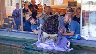 die nordstory: Trotz Baustopp und Datenklau - Comeback fürs Meeresmuseum Stralsund