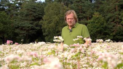 die nordstory: Mutige Bauern in der Heide