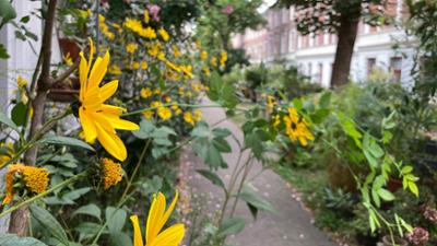 die nordstory: Hamburgs geheime Hinterhöfe