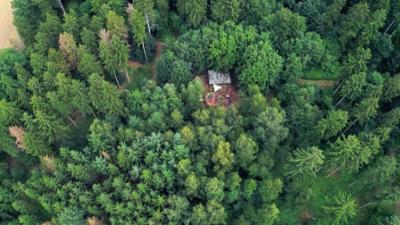 die nordstory: Sind im Wald!