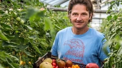 die nordstory: Gartengeschichten: Von Bienen, Blumen und Beeten