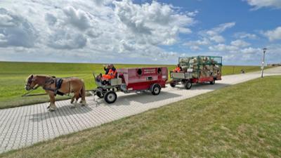 die nordstory: Kurs Juist und Norderney