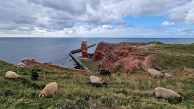 die nordstory: Neustart auf Helgoland - Zuhause am roten Felsen