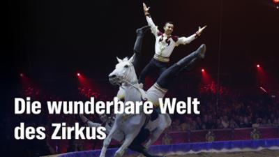 Die wunderbare Welt des Zirkus