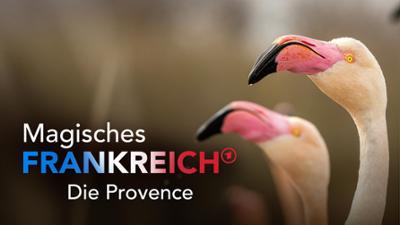 Expeditionen ins Tierreich: Magisches Frankreich – Von der Provence zu den Pyrenäen