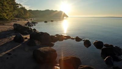 Expeditionen ins Tierreich: Wilde Ostsee - Von Dänemark bis Lettland