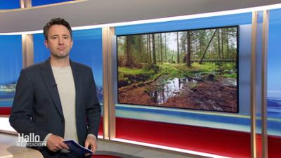 Hallo Niedersachsen