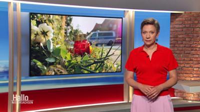 Hallo Niedersachsen