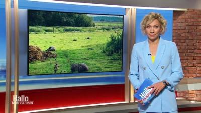Hallo Niedersachsen: 18.0.9.2023