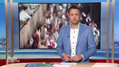 Hallo Niedersachsen