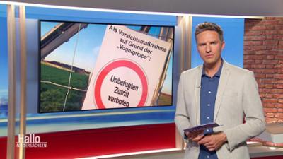 Hallo Niedersachsen