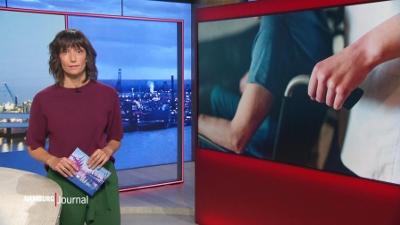 Hamburg Journal: 18.00