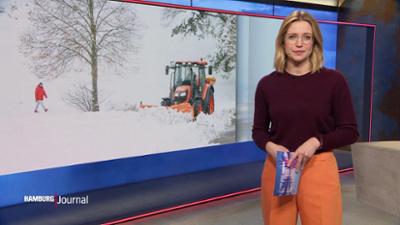 Hamburg Journal: 18:00 Uhr