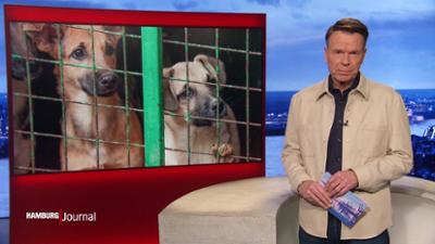 Hamburg Journal