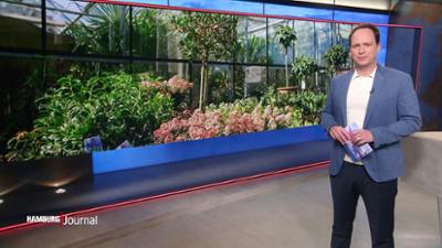 Hamburg Journal: 18:00 Uhr