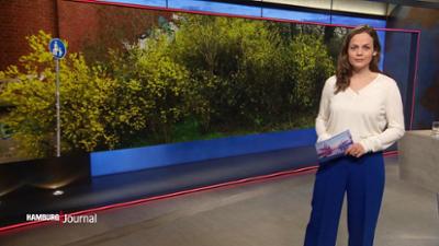 Hamburg Journal
