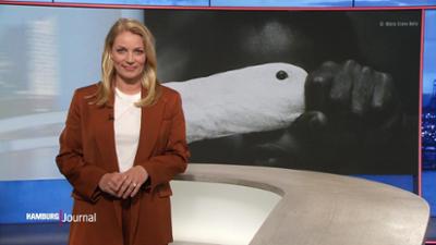 Hamburg Journal: 18:00 Uhr
