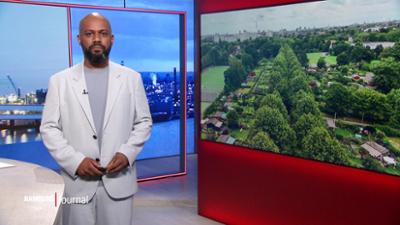 Hamburg Journal: 18:00 Uhr