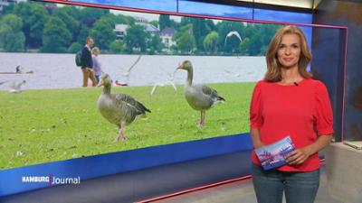 Hamburg Journal