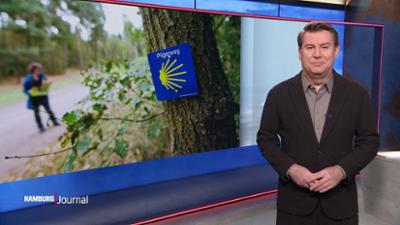 Hamburg Journal