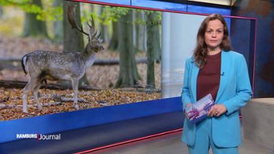 Hamburg Journal